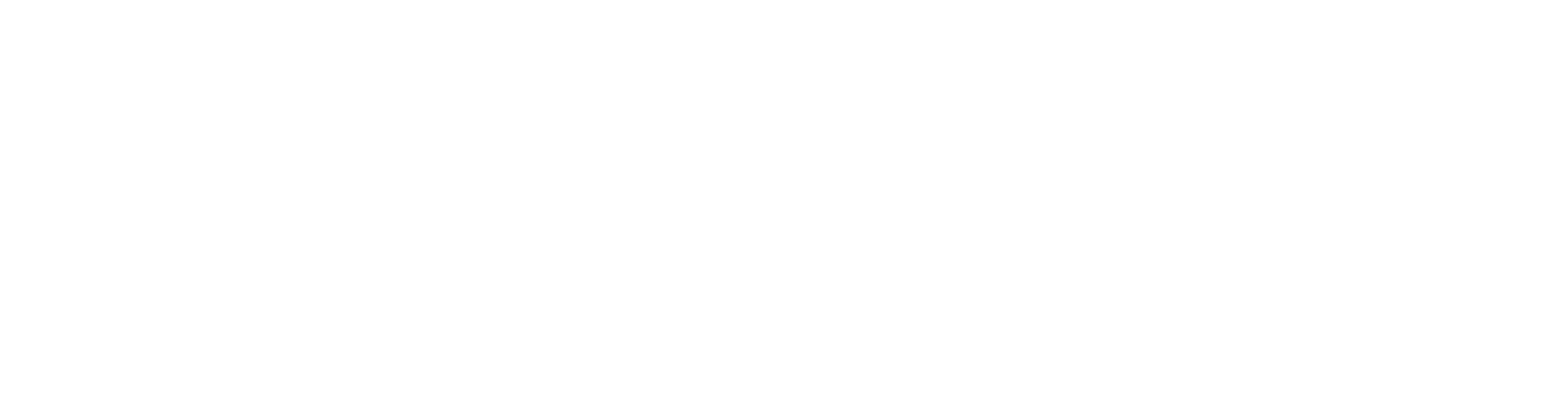 NOYAL DEVELOPMENTS